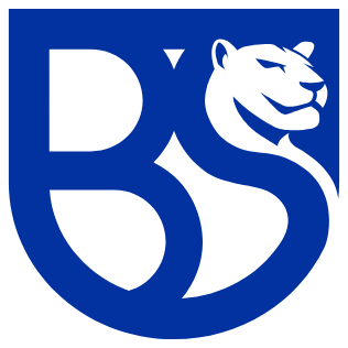 Unione Sportiva Dilettantistica Union Brescia